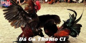 Khái quát đôi nét về trò chơi dân gian phổ biến hiện nay